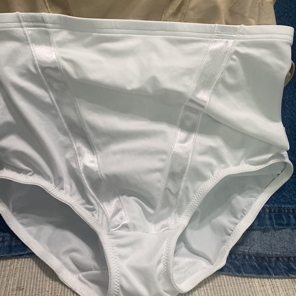 Maiden-form brief panties, spandex control top. Sz large. New, never worn, 3 pr